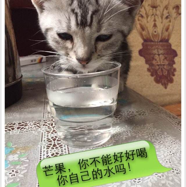 东南商学院证书办理